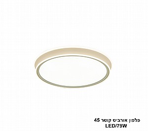 ����� ������ ���� LED 79W 45 (24046)