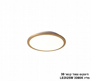 ***������ ���� ���� LED 25W 30 ���� (23513)