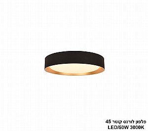 ����� ����� ���� LED 50W 45 (24472)