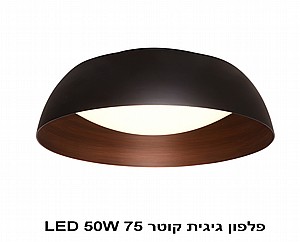 ����� ����� ���� LED 50W 75 (22780)