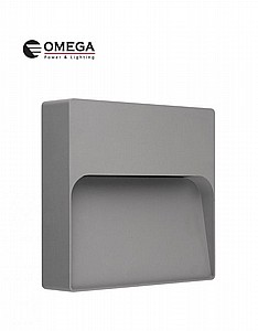 ���� ����� ����