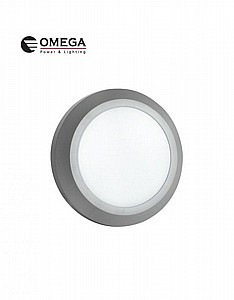 ����� ���� ����